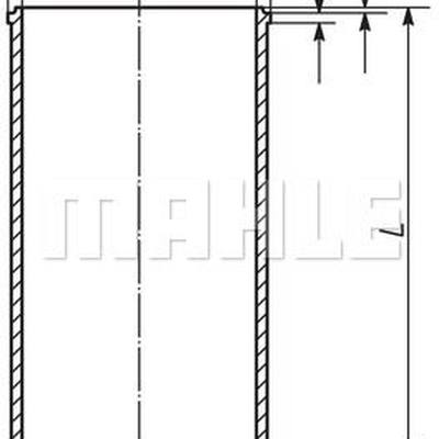 Mahle 029 WV 20 00 Гильза цилиндра