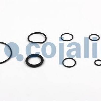 COJALI 6032120 Ремкомплект, усилитель привода сцепления