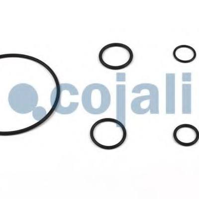 COJALI 6034006 Ремкомплект, усилитель привода сцепления
