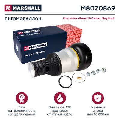Mercedes A2223206001 Стойка пневмоподвески