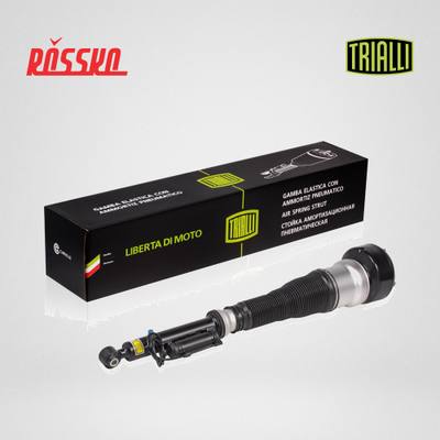 Trialli AG 15957 Пневмобаллон | лев |