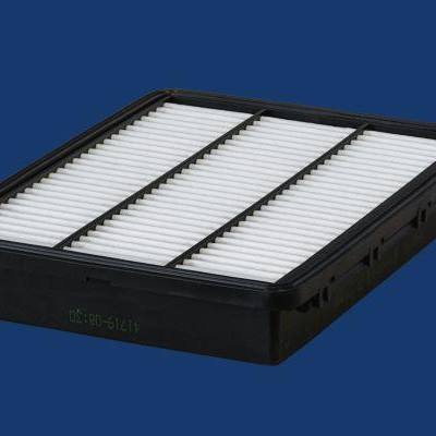 MECAFILTER ELP9576 Фильтр воздушный