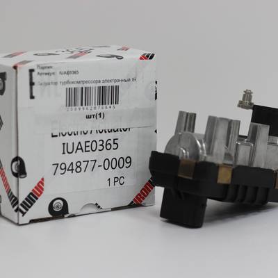 E&amp;E ACG228EH Актуатор