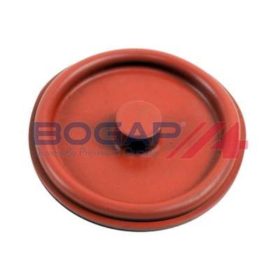 BOGAP E1116100 Клапан отвода воздуха из картера
