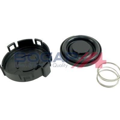 BOGAP B1116102 Клапан, отвода воздуха из картера