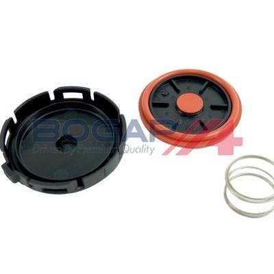 BOGAP B1116103 Клапан, отвода воздуха из картера