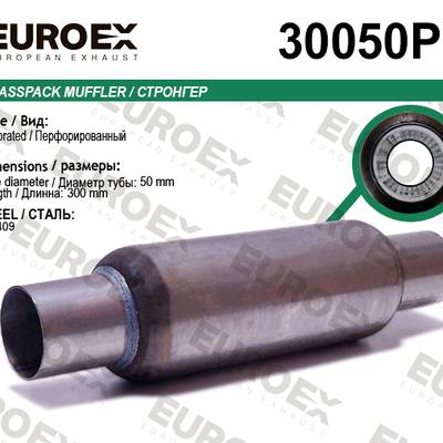 EUROEX 30050P Стронгер нерж. перфорированный (50x200x300)