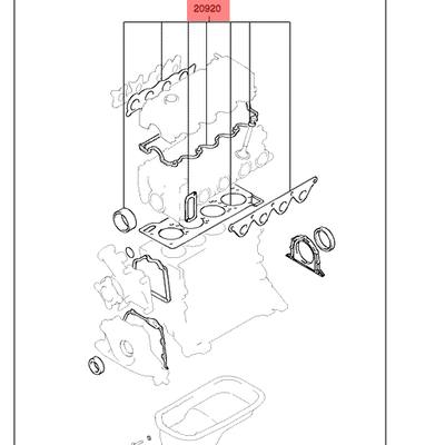 Hyundai/Kia 2092022AD0 Комплект прокладок двигателя (мет.2шт,рез.4шт,рез+мет.2шт,паран.5шт)