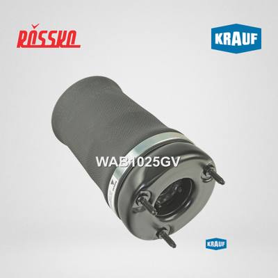 Mercedes A 164 320 59 13 Амортизатор | перед |